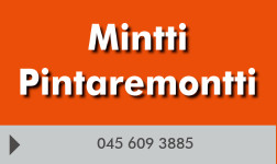 Mintti Pintaremontti logo